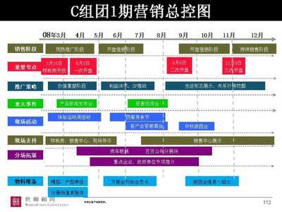 世聯安徽合肥萬振房地產項目市場營銷策劃總綱